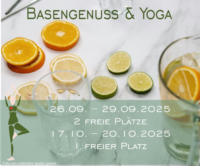 Wasserglas und Zitronenscheiben